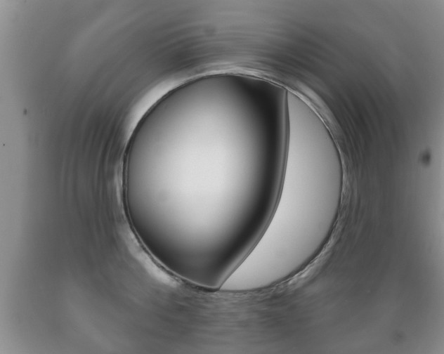 X0000089720812200706210852