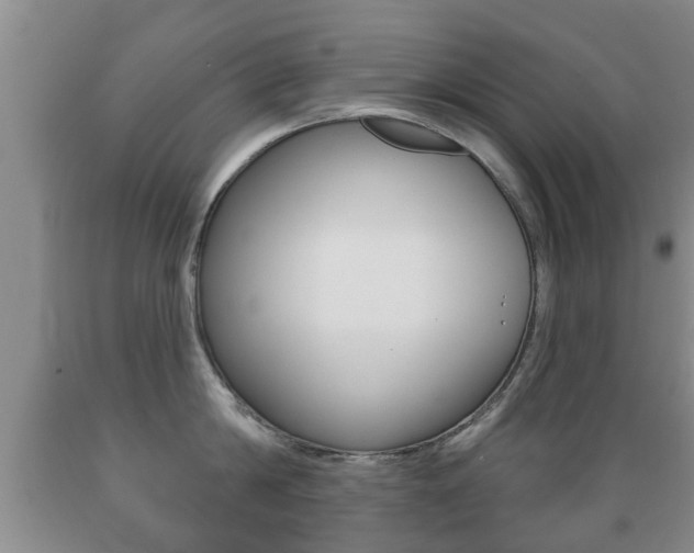 X0000089720814200706210852