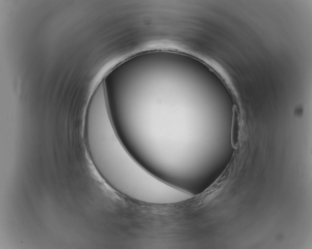 X0000089720815200706210852