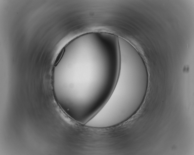 X0000089720816200706210852