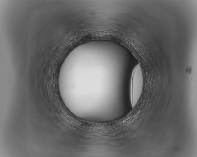 X0000089720817200706210851