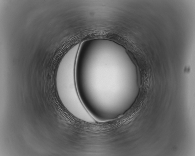 X0000089720818200706210851