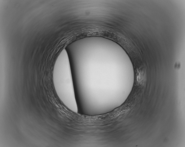 X0000089720819200706210851