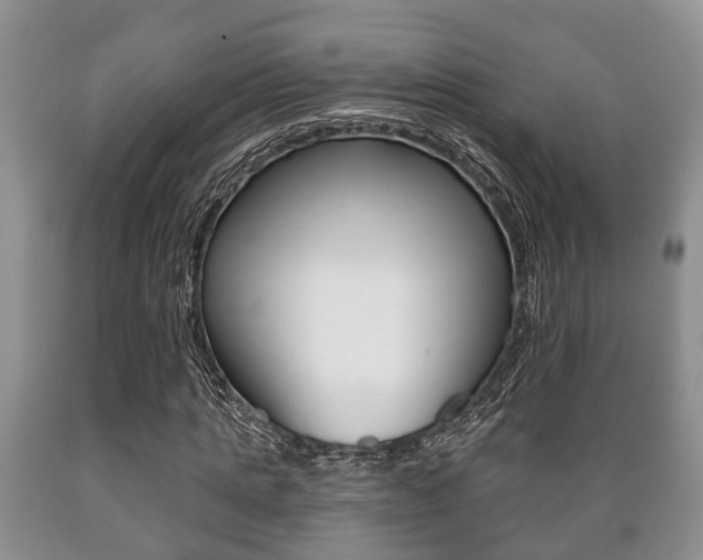 X0000089720821200706210851