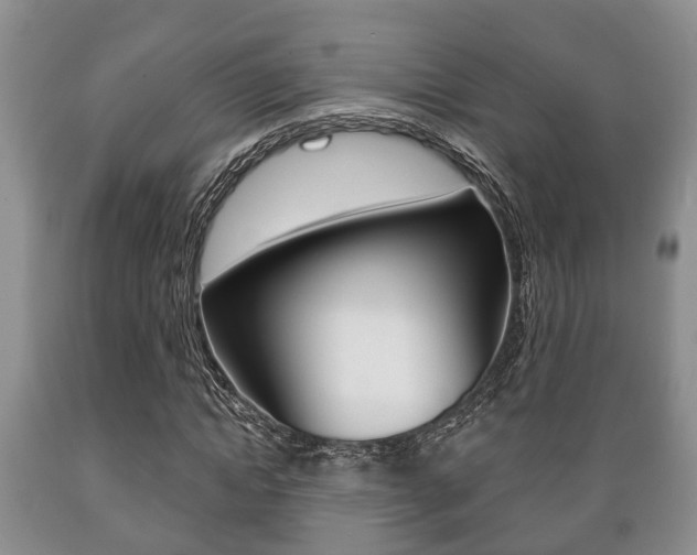 X0000089720822200706210851