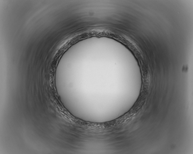 X0000089720823200706210851