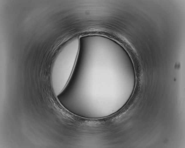 X0000089720825200706210851