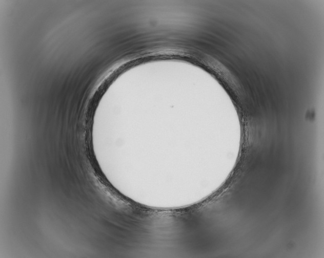 X0000089720828200706210851