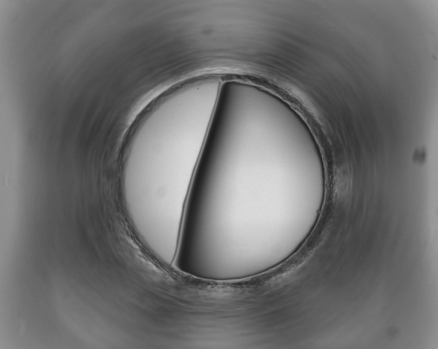 X0000089720829200706210851