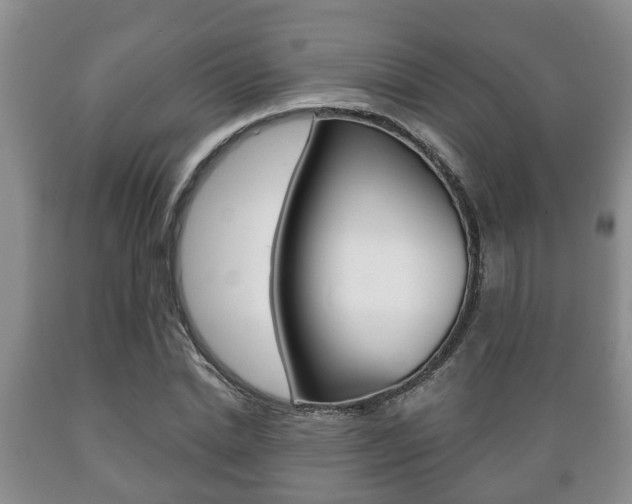 X0000089720830200706210851
