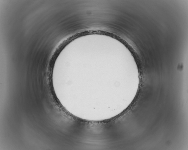X0000089720832200706210851