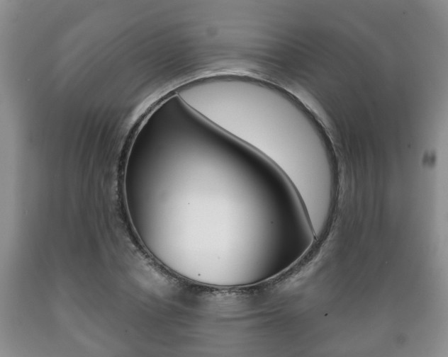 X0000089720834200706210851