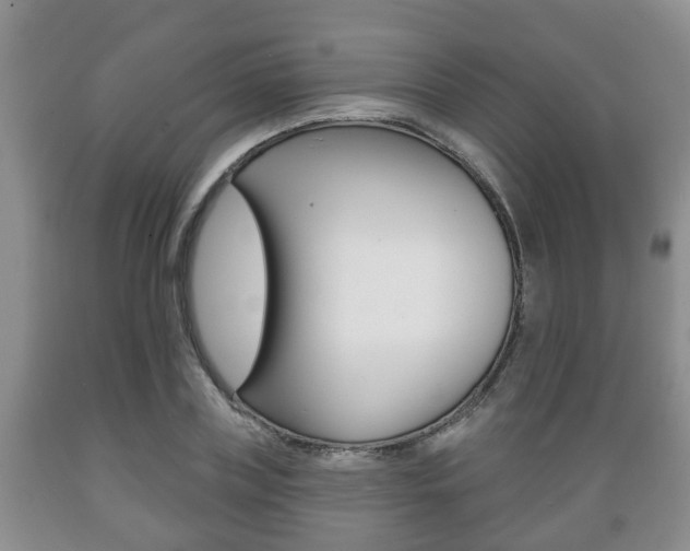 X0000089720835200706210851