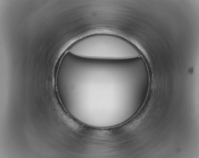 X0000089720837200706210852