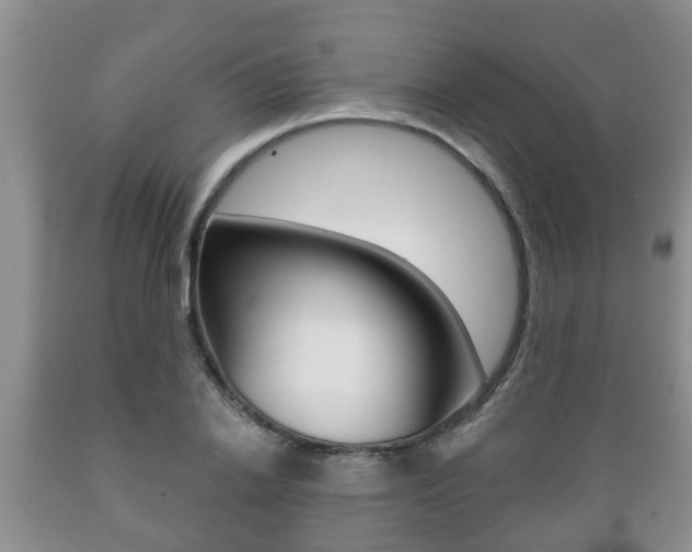 X0000089720838200706210852