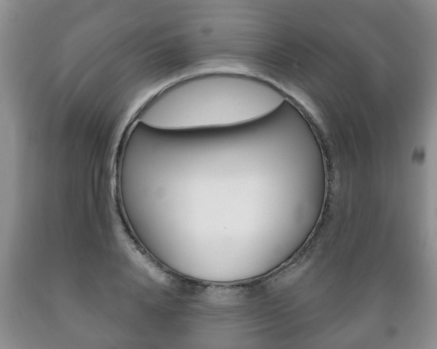 X0000089720840200706210852