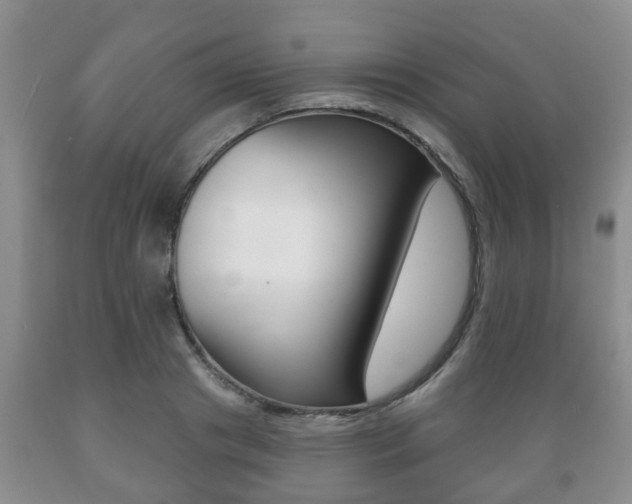 X0000089720841200706210852