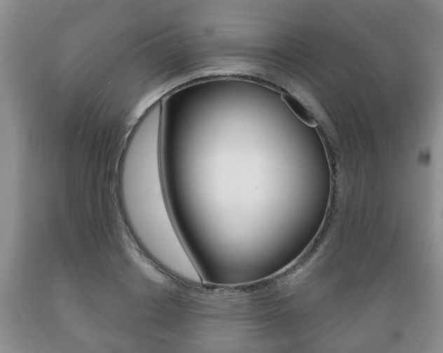 X0000089720842200706210852