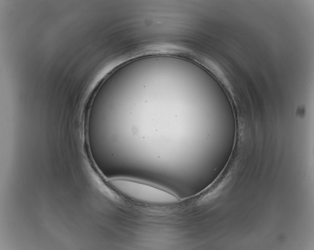X0000089720843200706210852