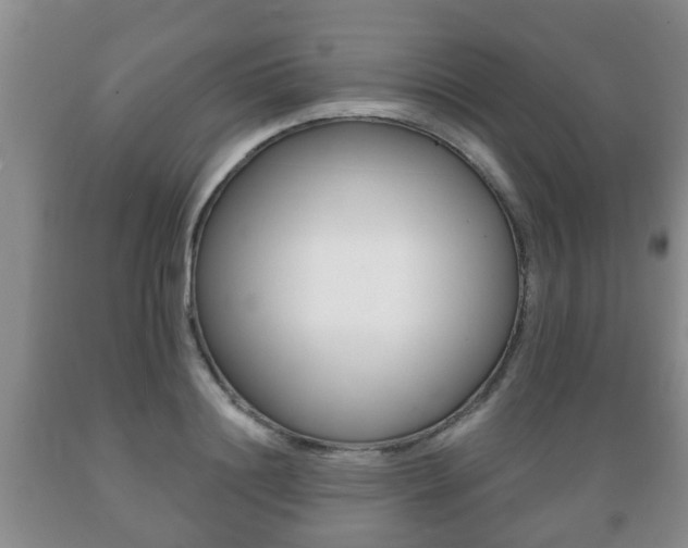 X0000089720844200706210852