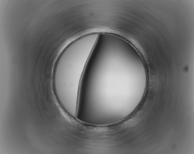 X0000089720845200706210852