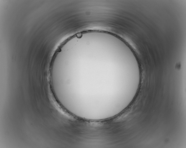 X0000089720848200706210852