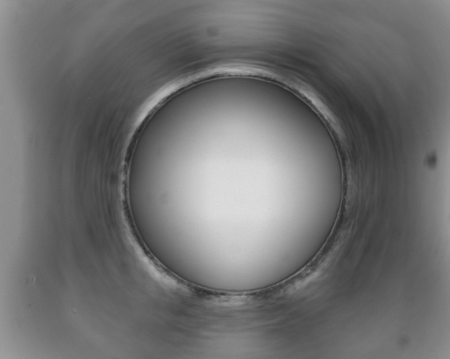 X0000089720853200706210852