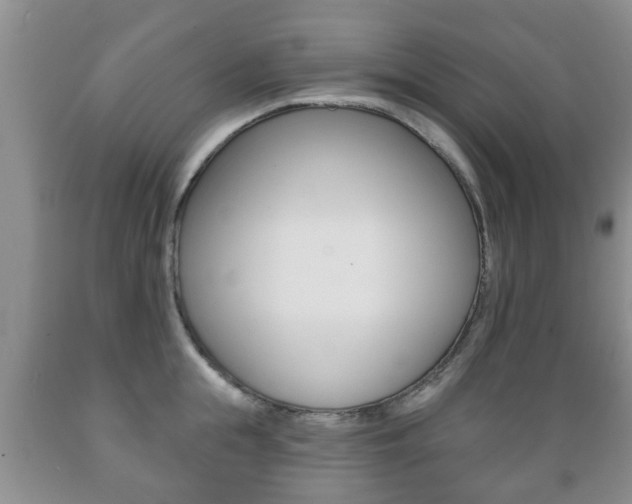 X0000089720855200706210852