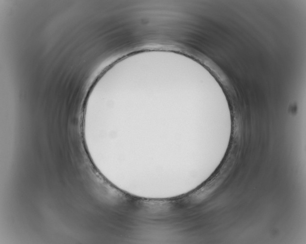 X0000089720856200706210852