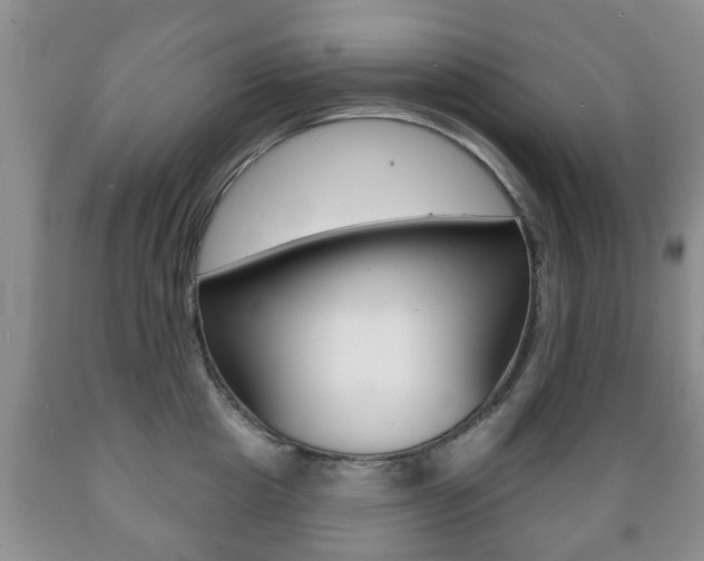 X0000089720857200706210852