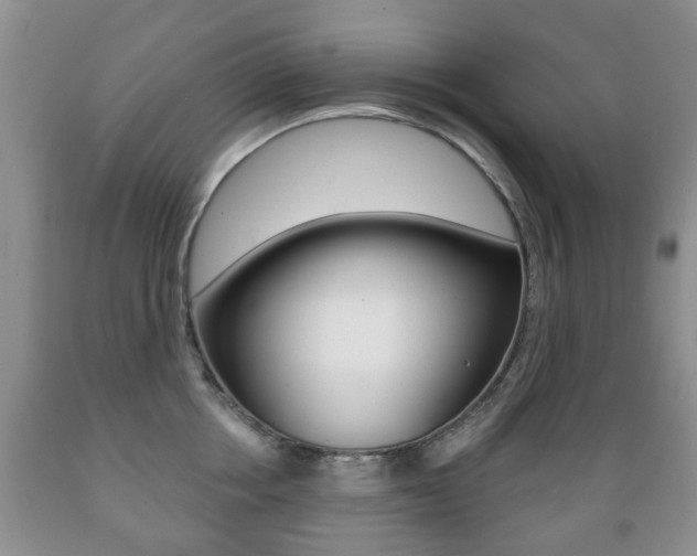 X0000089720858200706210852