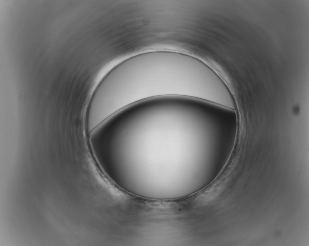 X0000089720862200706210852