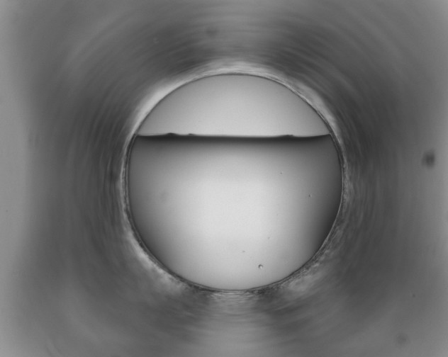 X0000089720863200706210852
