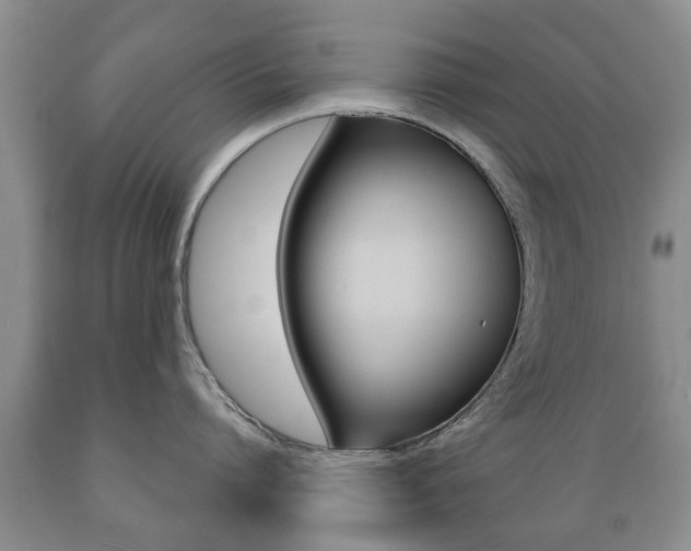X0000089720864200706210852
