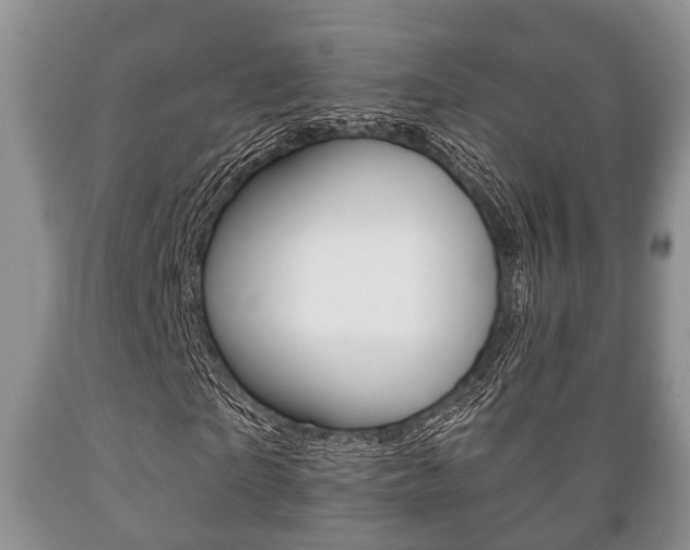 X0000089720865200706210851
