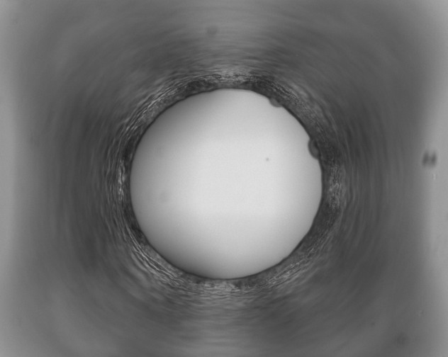 X0000089720866200706210851