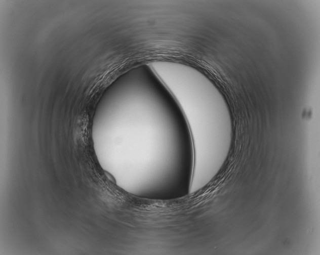 X0000089720867200706210851