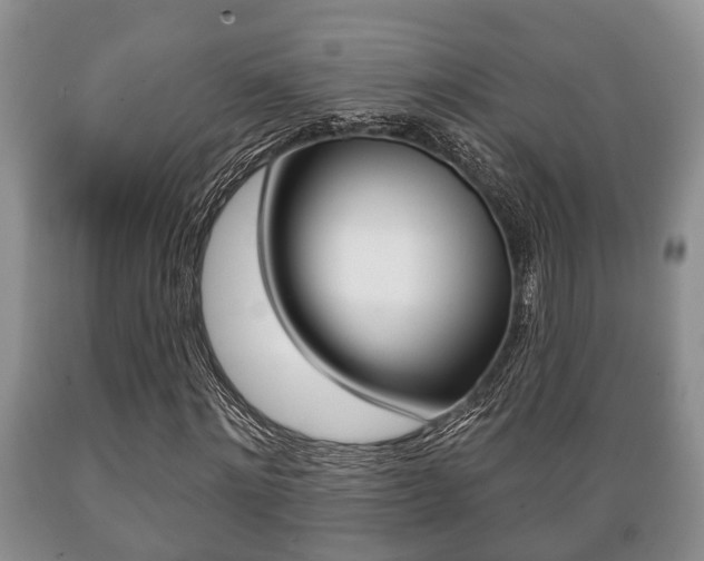 X0000089720868200706210851
