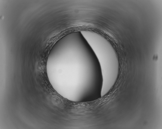 X0000089720869200706210851