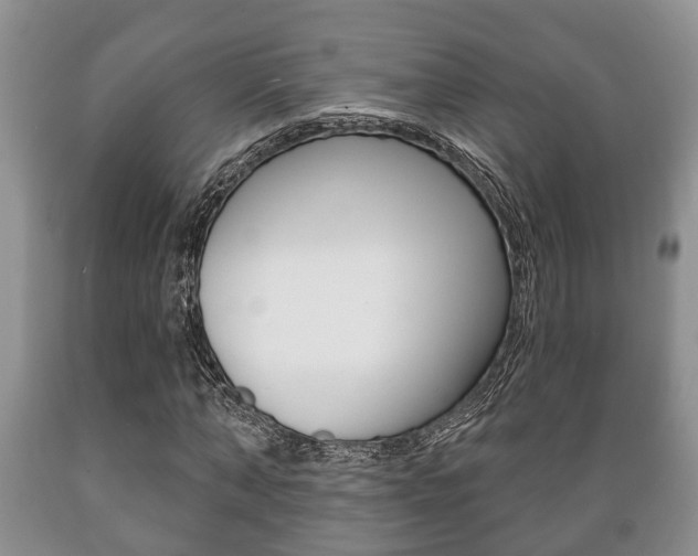 X0000089720870200706210851