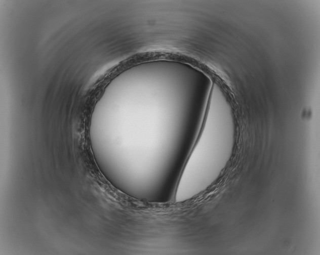 X0000089720872200706210851