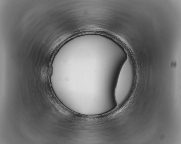 X0000089720873200706210851