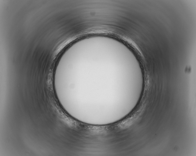 X0000089720874200706210851