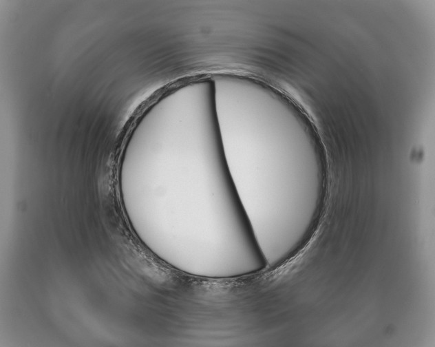 X0000089720875200706210851