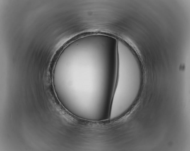 X0000089720876200706210851