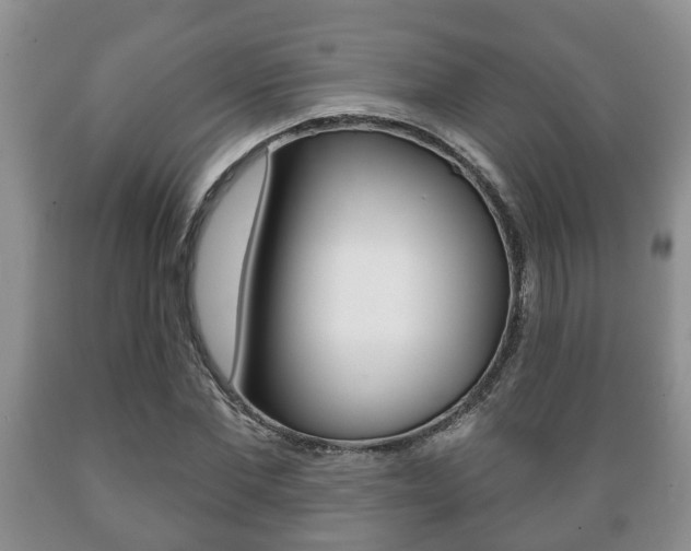 X0000089720877200706210851