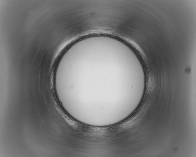 X0000089720878200706210851
