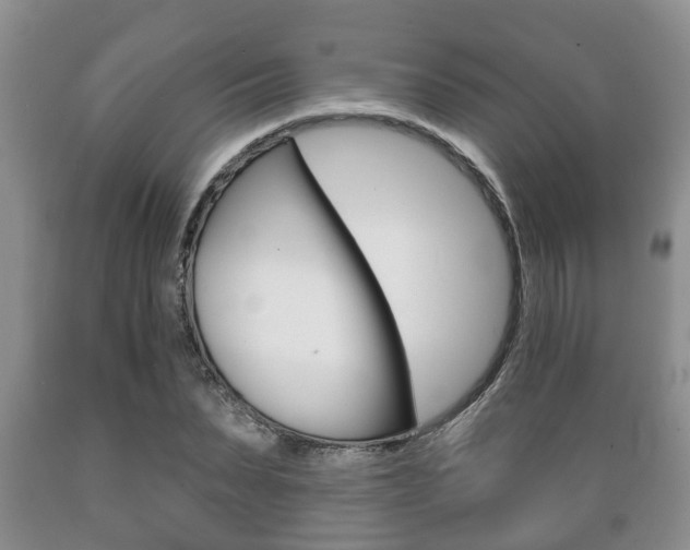 X0000089720879200706210851