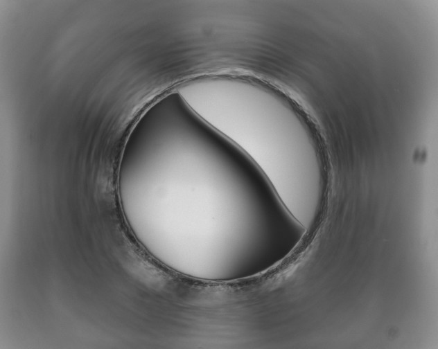 X0000089720881200706210851