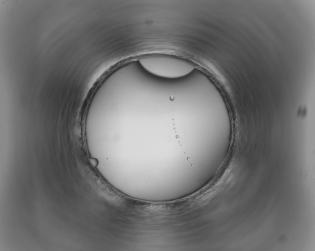 X0000089720883200706210851